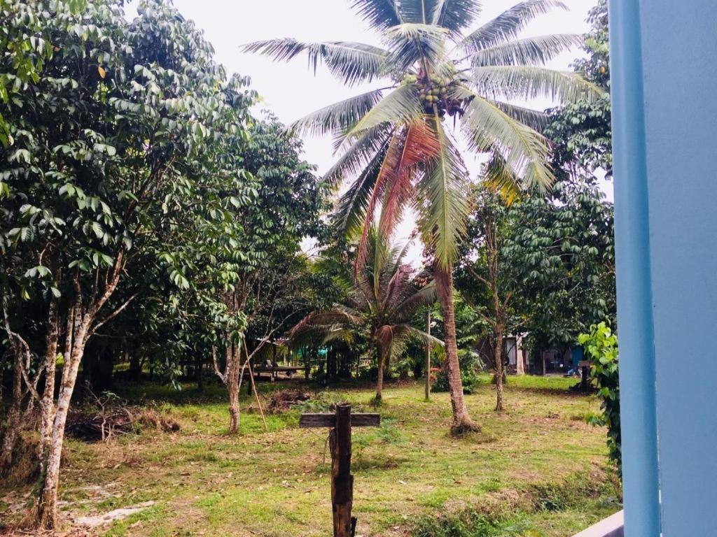 Baan Kalaya Garden  Apartment Ban Muang Mai Luaran gambar